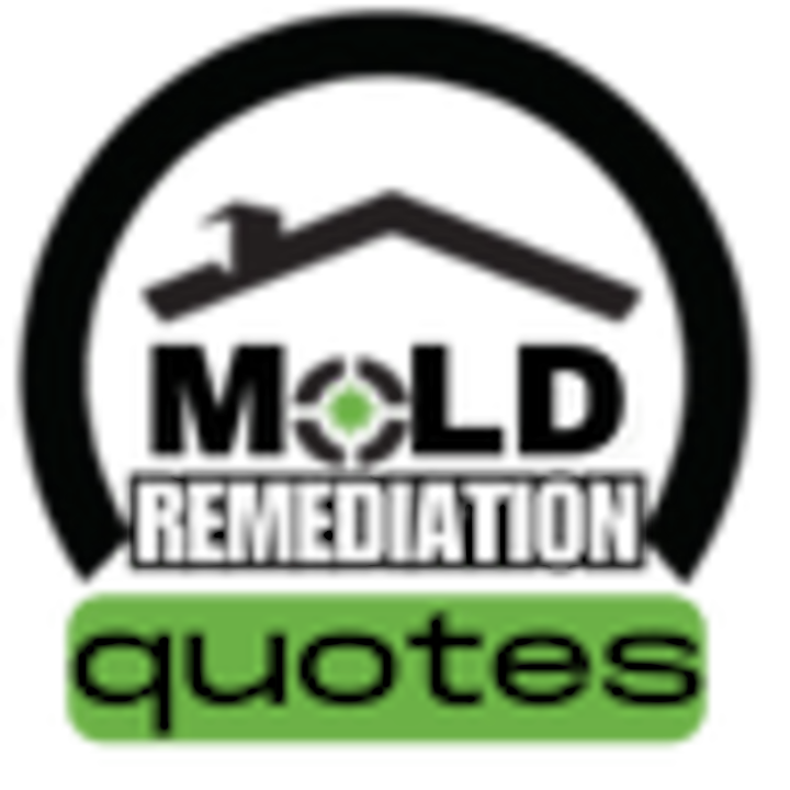 Phoenix Mold Remediation Service